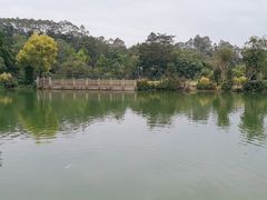 -谷丰健康凤贤居酒家