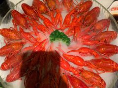 -红盔甲·小龙虾(天钥桥店)