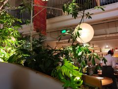 -馋嘴猫北京食堂·烤鸭·宵夜(亚运村店)
