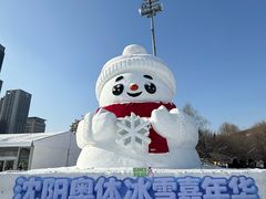 -沈阳奥体冰雪嘉年华