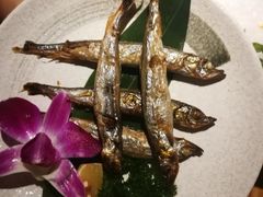 -酒井酱子·深夜食堂(东城汇店)