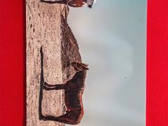 -和平行旅·全女旅宿(永庆坊店)