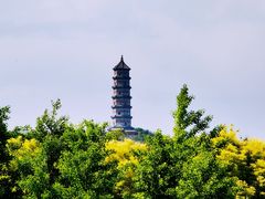 -北坞公园
