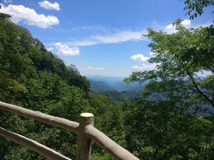 -牛背梁国家森林公园