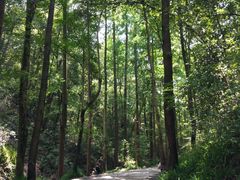 -仙山谷激浪漂流