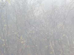 -北京灵山风景区