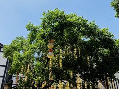 -磁器口古镇