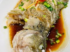 -东四民芳餐厅(世茂工三店)