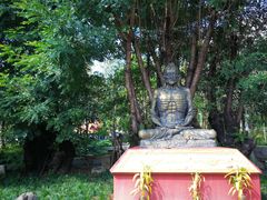 -瑞丽独树成林风景区