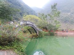 -靖西鹅泉风景区