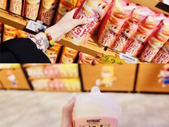 -三只松鼠(北美N1店)