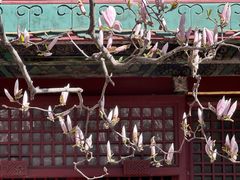 -潭柘寺景区