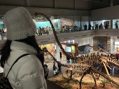 -自贡恐龙博物馆