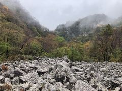 -陕西省红河谷森林公园