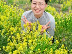 -天津武清北运河郊野公园房车露营地