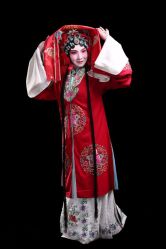 -胭脂猫京剧摄影