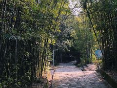 -东莞市大岭山森林公园