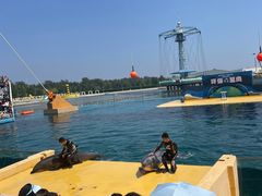 -秦皇岛乐岛海洋王国