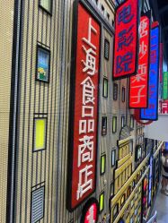 -乐高品牌旗舰店(人民广场店)