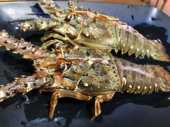 -董大蒸货(方塔园店)