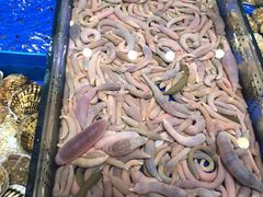 -船歌·鱼水饺青岛菜(闽江二路店)
