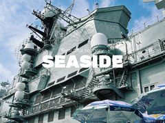 -泰达航母主题公园