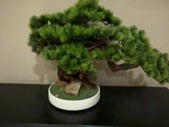 -大和洗浴休闲会所(宏大广场店)
