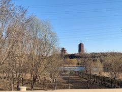 -永定河休闲森林公园