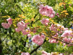 -苏州河梦清园环保主题公园