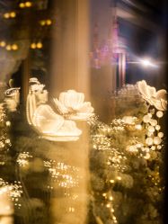 -迈瑞米求婚策划(静安店)