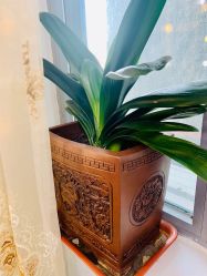 -Yue Show馨选·半永久纹眉纹眼线