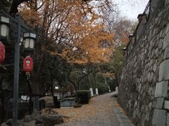 -伯先公园