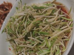 生呛西葫芦丝-红城阁·上海味道(四平路店)