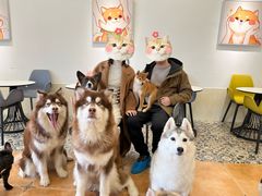-Let's go狗咖·猫咖·奶狗·桌游(春熙路IFS店)
