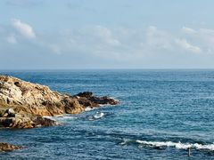 -广东惠东海龟国家级自然保护区