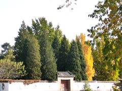-颐和园