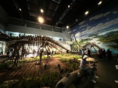 -自贡恐龙博物馆