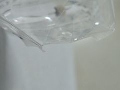 -首都医科大学附属北京潞河医院
