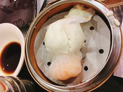 -糖朝(尖沙咀店)