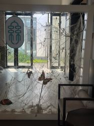 -太湖雪蚕桑文化园