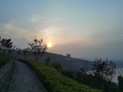 -金海湾滨江公园
