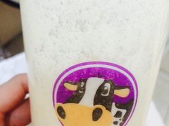 -一只酸奶牛(东方广场店)