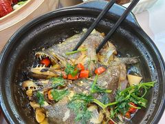 -老楼羊蝎子·鲜货烧烤(惊驾路店)