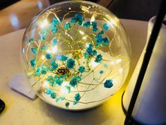 -哈根达斯(卓展店)