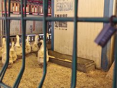 -鱼窝棚柴火铁锅炖(富山屯店)