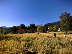 -塔川景区