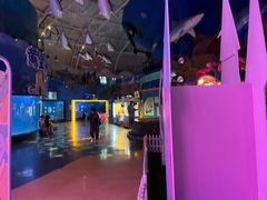 -烟台海昌鲸鲨海洋公园