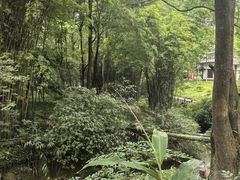 -峨眉山报国寺