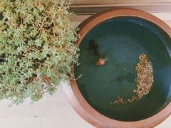 -三仟津花园咖啡馆