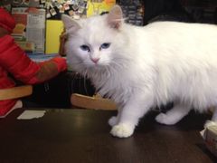 iphone_upload_pic-游人馆·桌游狼人杀团建馆(人广书城店)